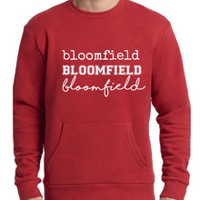 Load image into Gallery viewer, Bloomfield Hoodie (Adult)
